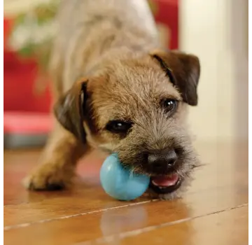 West Paw Hondenspeelgoed Zogoflex Jive Aqua