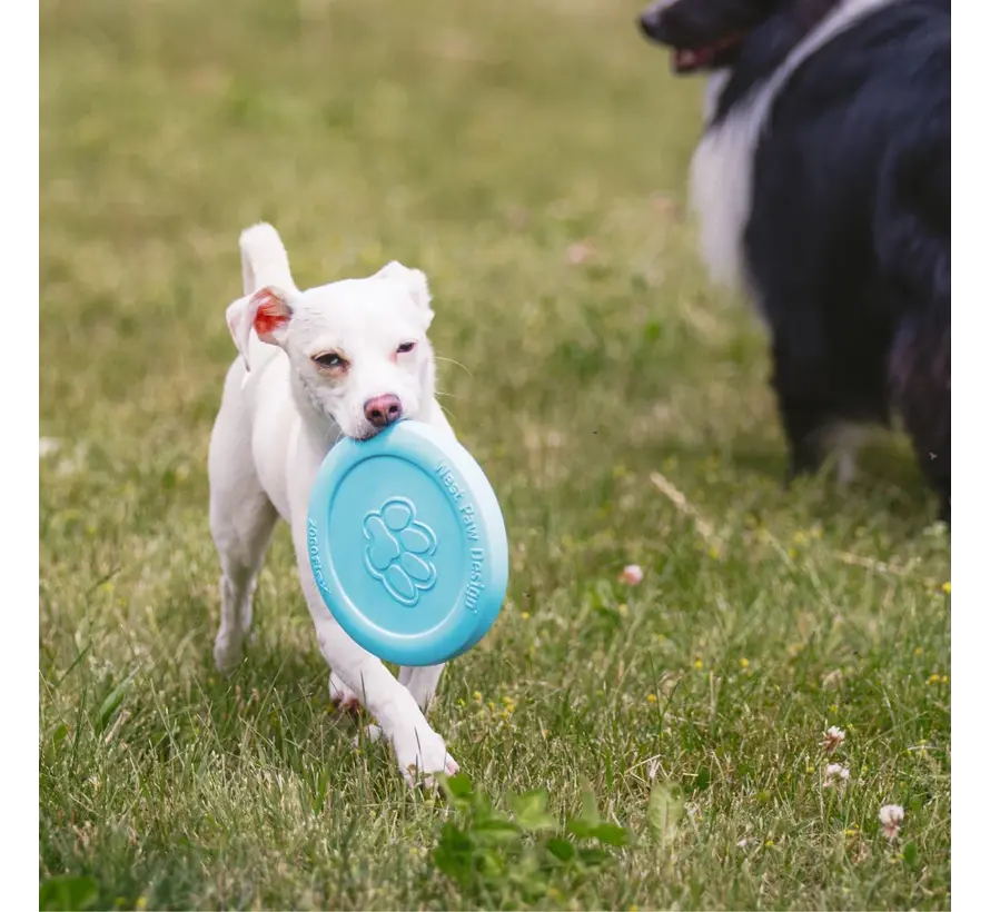 Dog Toy Zogoflex Zisc Aqua