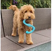 West Paw Hondenspeelgoed Zogoflex Bumi Aqua