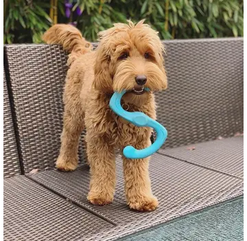 West Paw Hondenspeelgoed Zogoflex Bumi Aqua