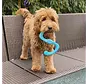 Dog Toy Zogoflex Bumi Aqua
