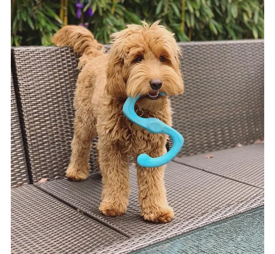 Dog Toy Zogoflex Bumi Aqua