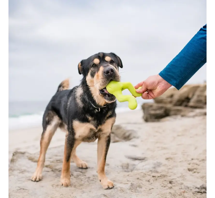 Dog Toy Zogoflex Tizzi Lime