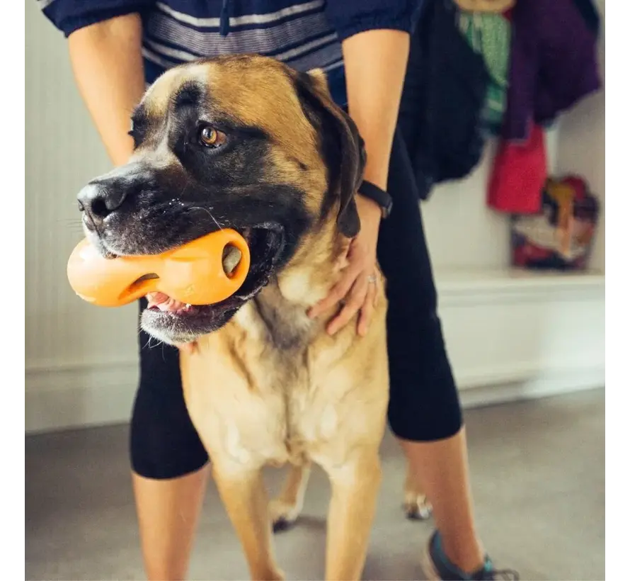 Dog Toy Zogoflex Qwizl Orange