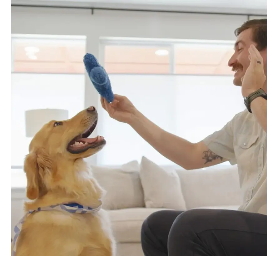 The Dog's Best Friend Game™