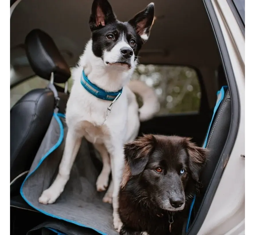 Dog blanket for the back seat Hammock Grey