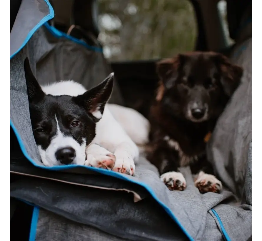 Dog blanket for the back seat Hammock Grey