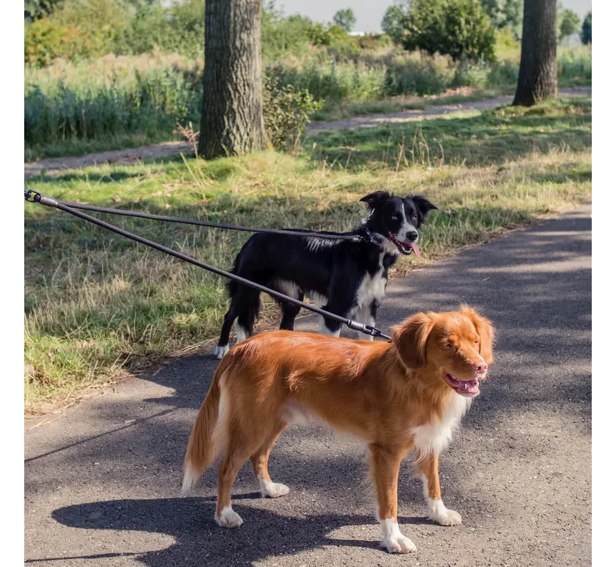 Verstelbare Dubbele Hondenriem