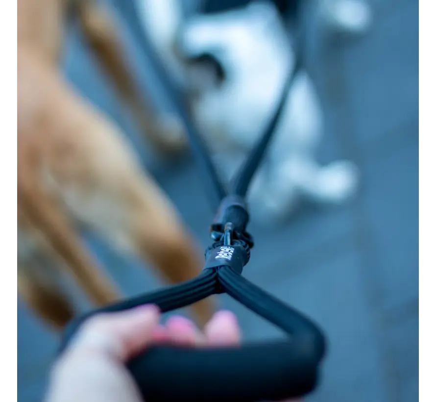 Verstelbare Dubbele Hondenriem