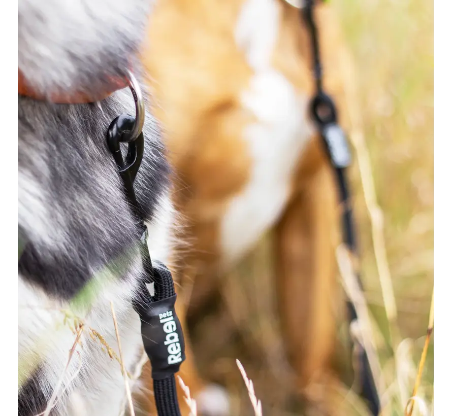 Adjustable Double Dog Leash