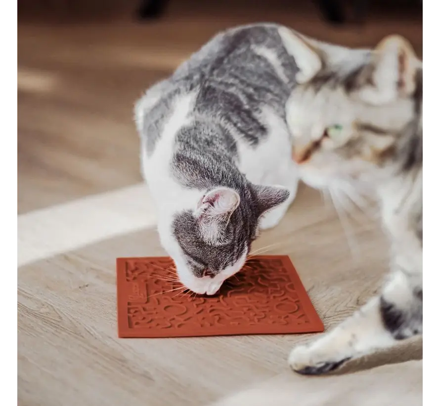 QUEST Lick Mat for Cats Terra