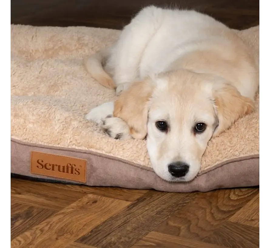 Dog Cushion Cosy Caramel