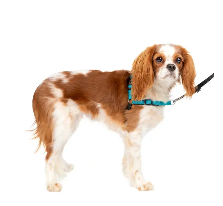 Anti-Trek Hondentuig Easy Walk ® Deluxe