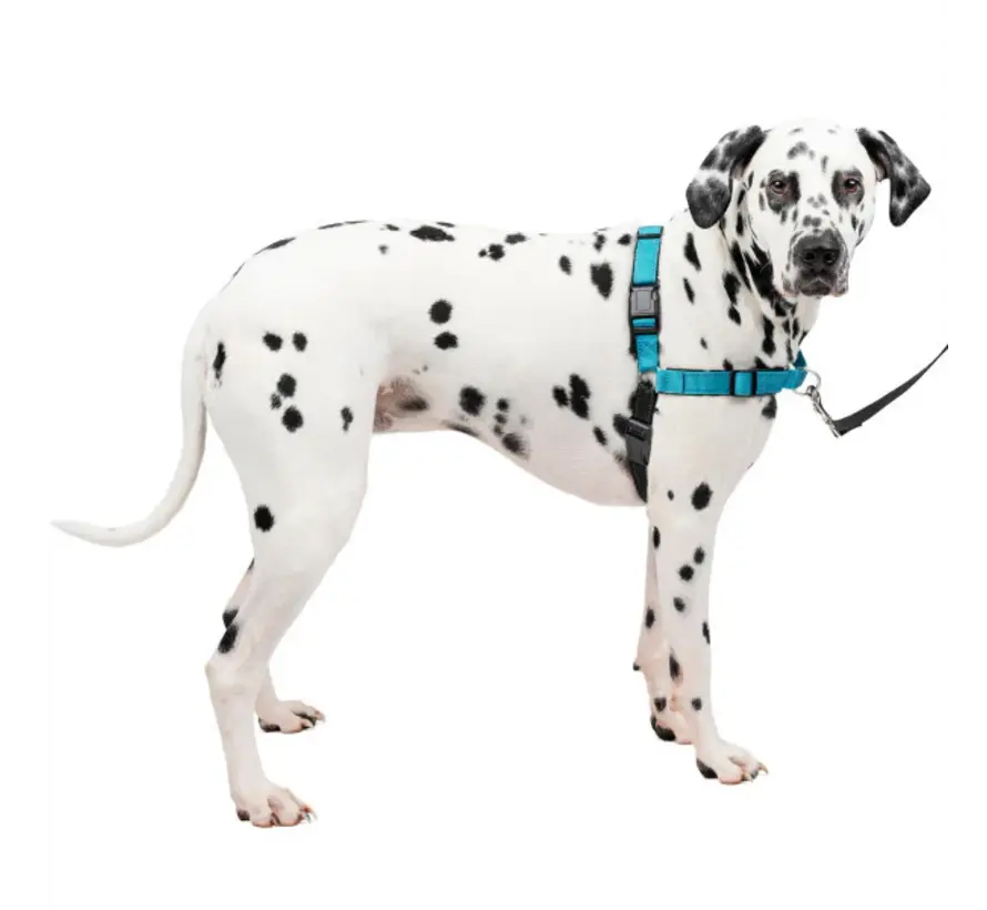 Anti-Pull Dog Harness Easy Walk® Deluxe