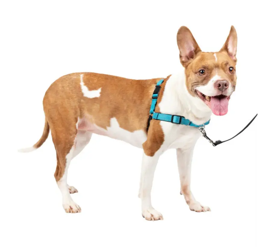 Anti-Trek Hondentuig Easy Walk ® Deluxe