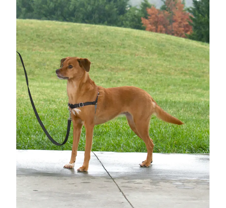 Anti-Trek hondentuig Easy Walk ® Zwart