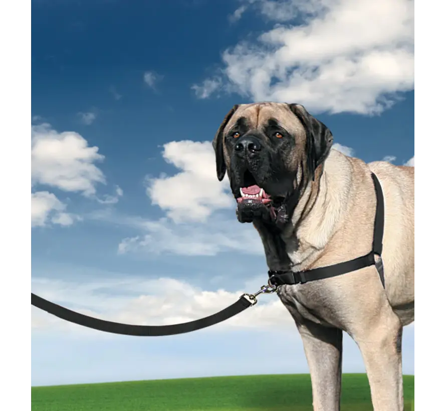 Anti-Trek hondentuig Easy Walk ® Zwart