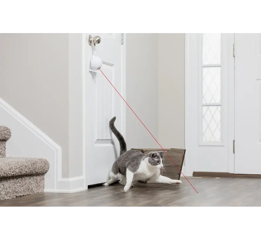 Kattenspeelgoed Dancing Dot Laser