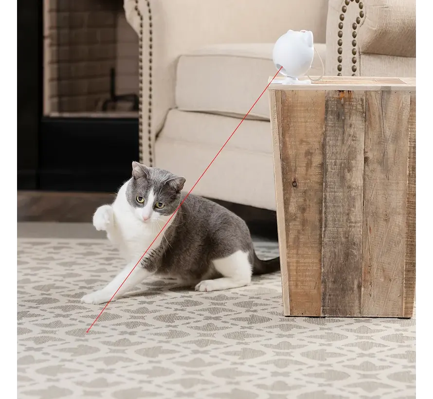 Kattenspeelgoed Dancing Dot Laser