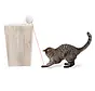 Cat Toy Dancing Dot Laser