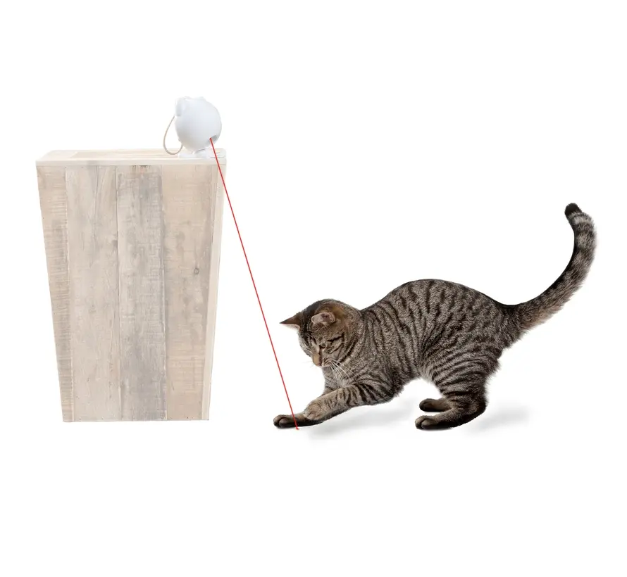Kattenspeelgoed Dancing Dot Laser