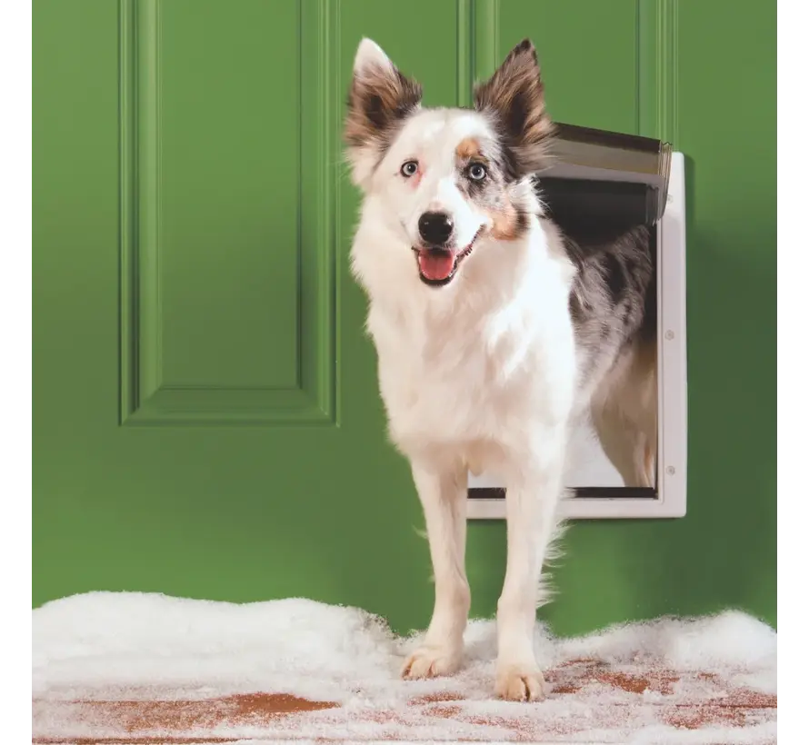 Pet Door Extreme Weather