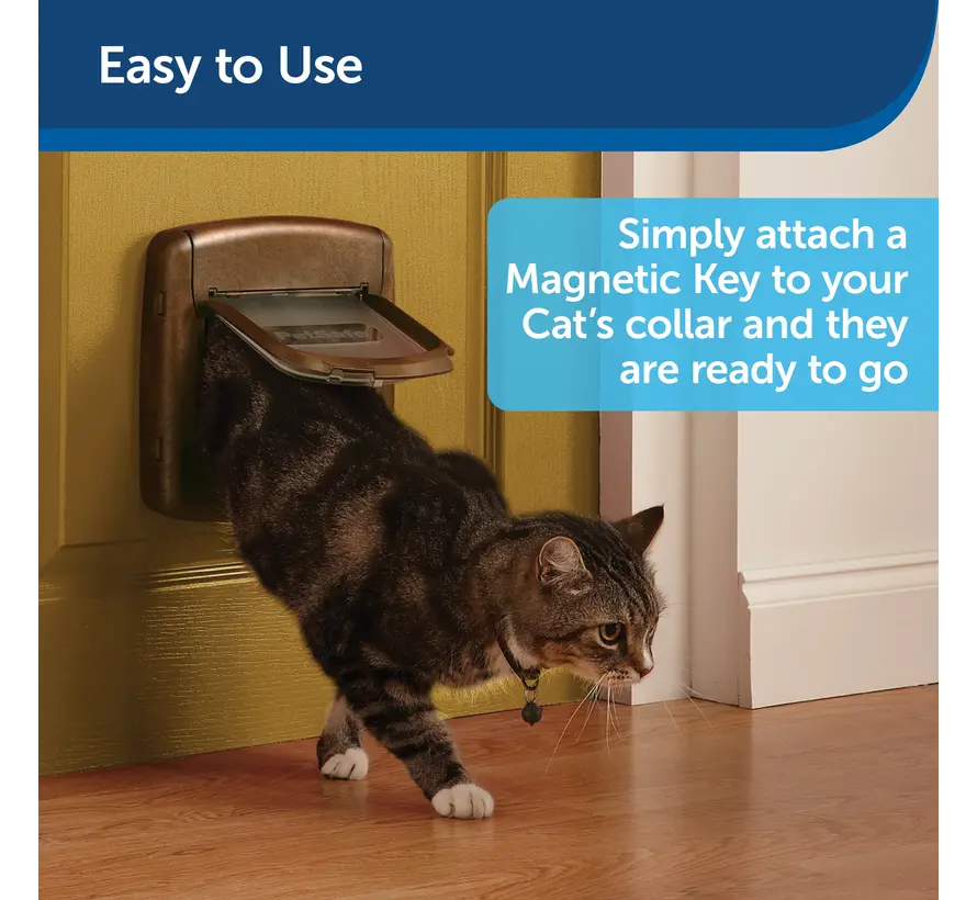 Staywell Magnetic Key