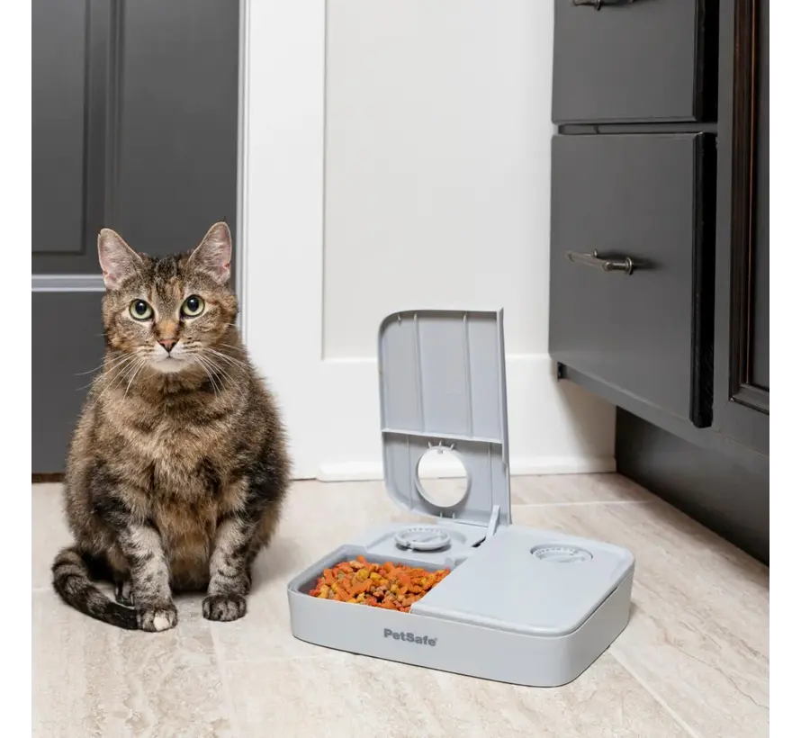 Automatic 2 Meal Pet Feeder