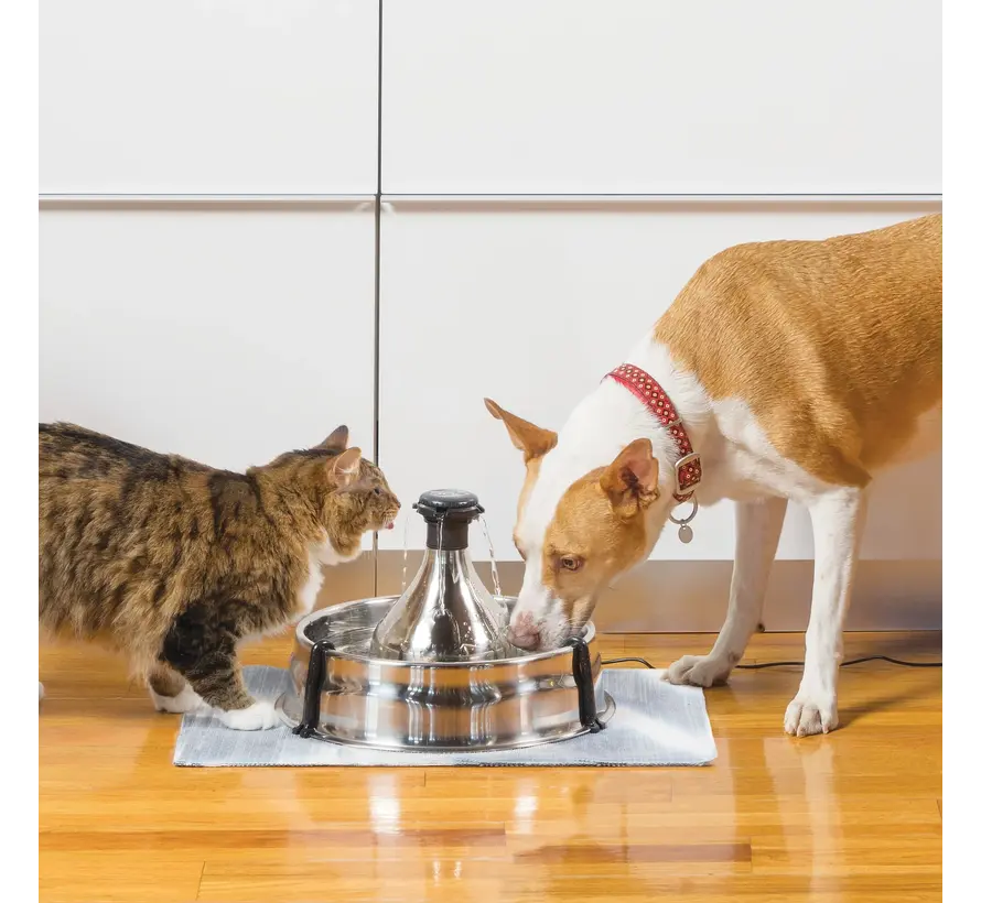 Pet Fountain Drinkwell 360 Stainless steel