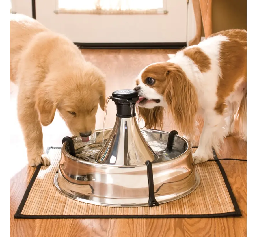 Drinkfontein Drinkwell 360 Roestvrijstaal