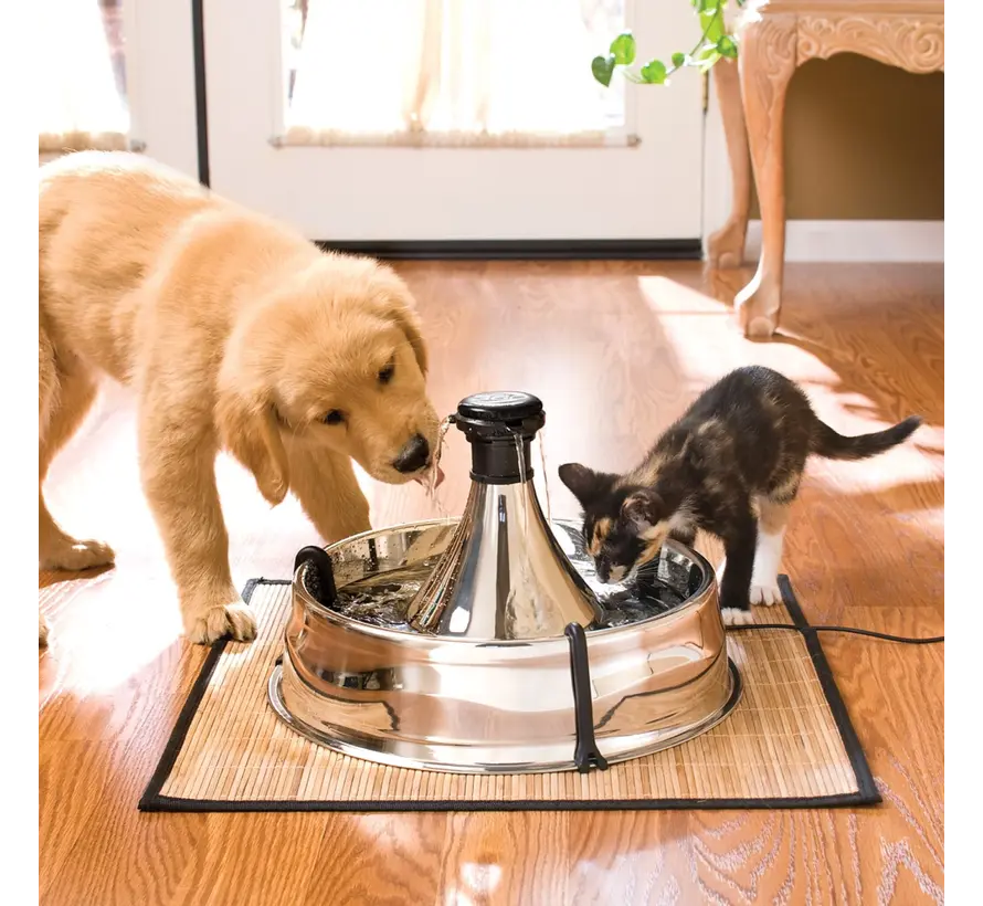 Pet Fountain Drinkwell 360 Stainless steel