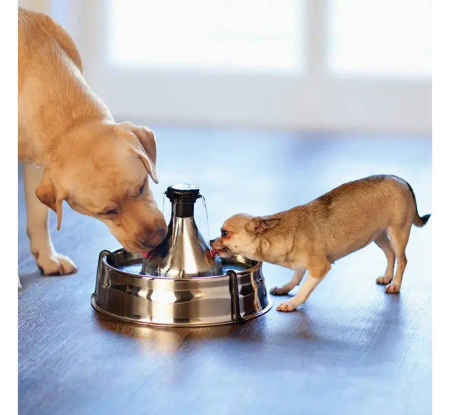 Pet Fountain Drinkwell 360 Stainless steel