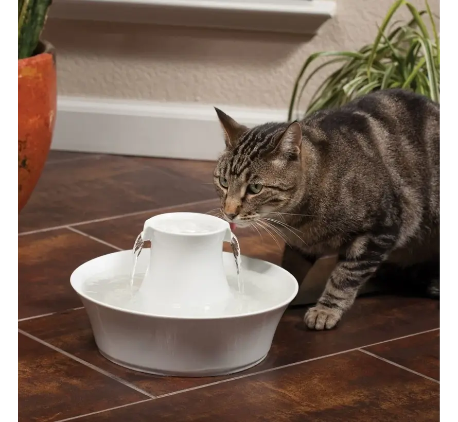 Pet Fountain Drinkwell Avalon