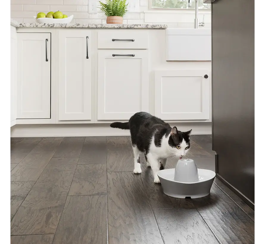 Pet Fountain Streamside Ceramic 1.8 Liter