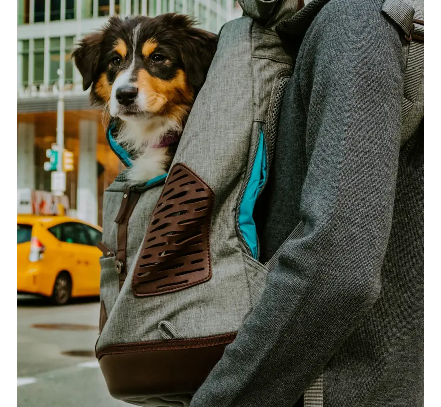 Dog Backpack Rucksack