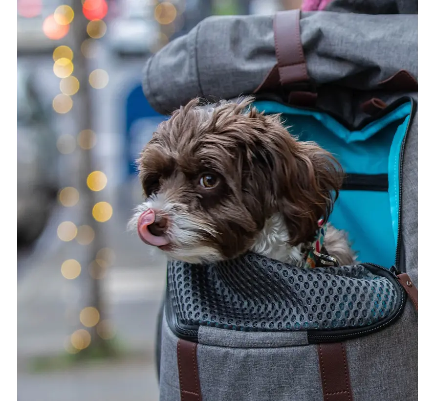 Dog Backpack Rucksack