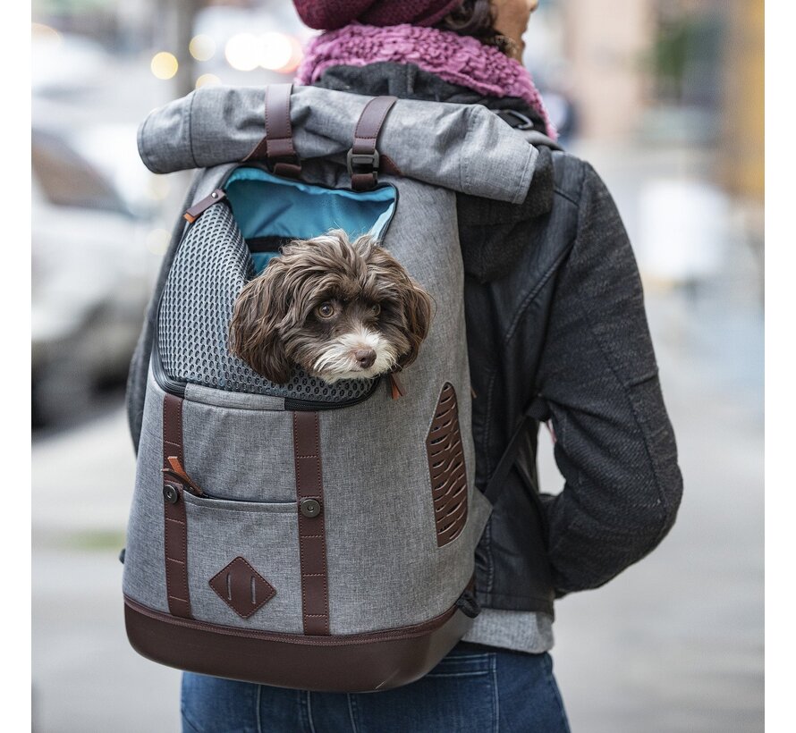 Hondendraagtas Rugzak Rucksack