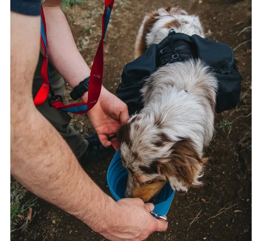 Opvouwbare Voerbak Collaps-a-Bowl Blauw