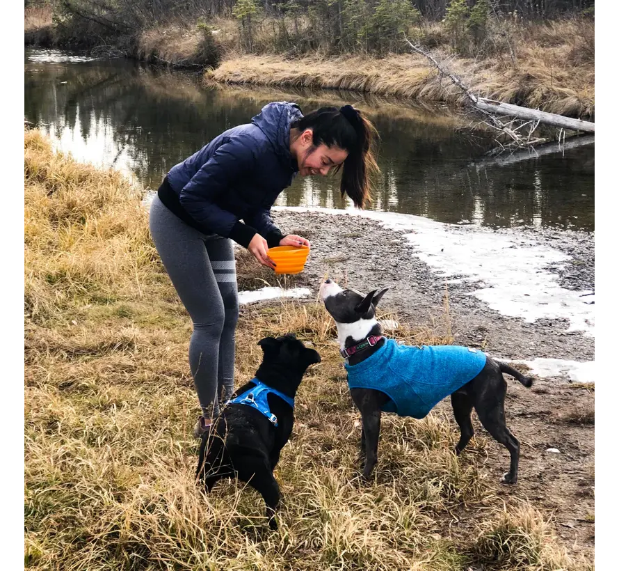 Collaps-a-Bowl Orange