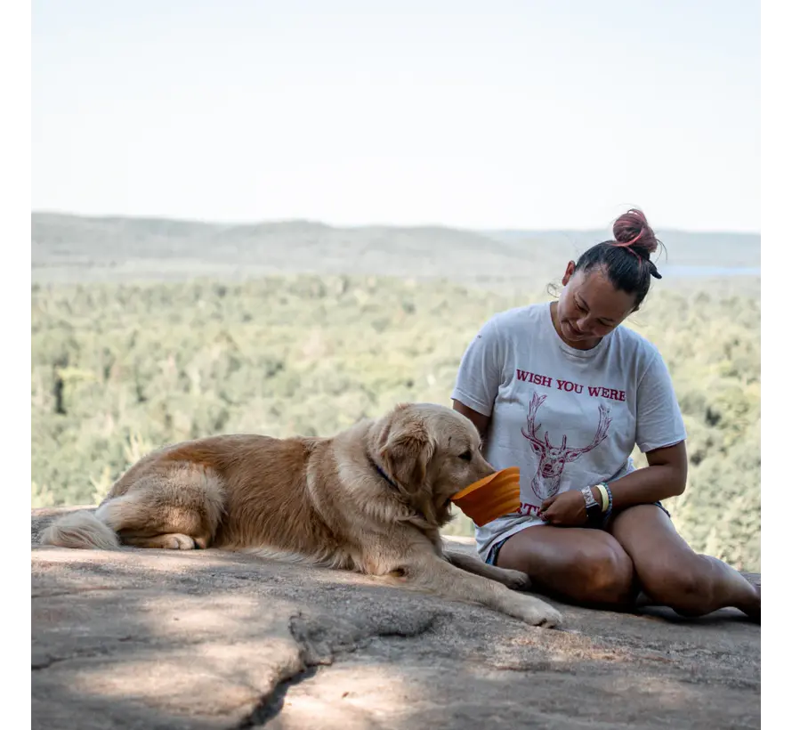 Opvouwbare Voerbak Collaps-a-Bowl Oranje