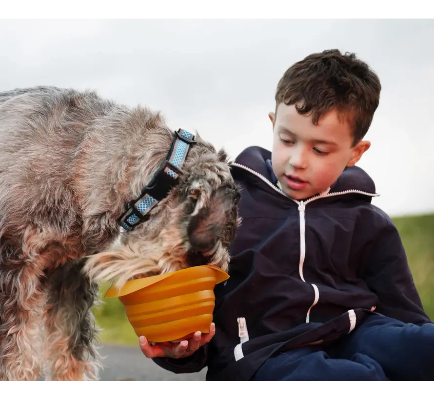 Collaps-a-Bowl Orange