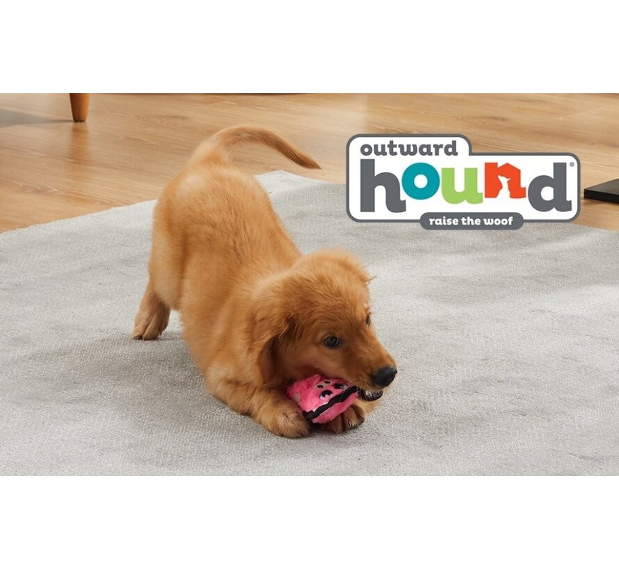 Dog Toy Invincibles Mini Pig