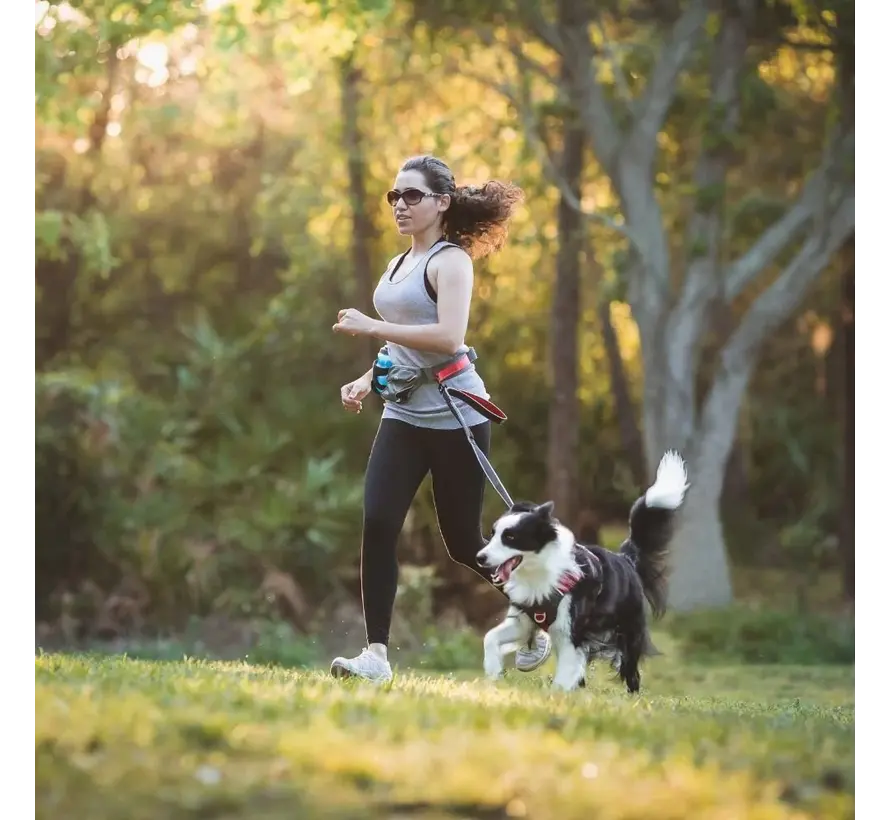 Excursion Running Belt