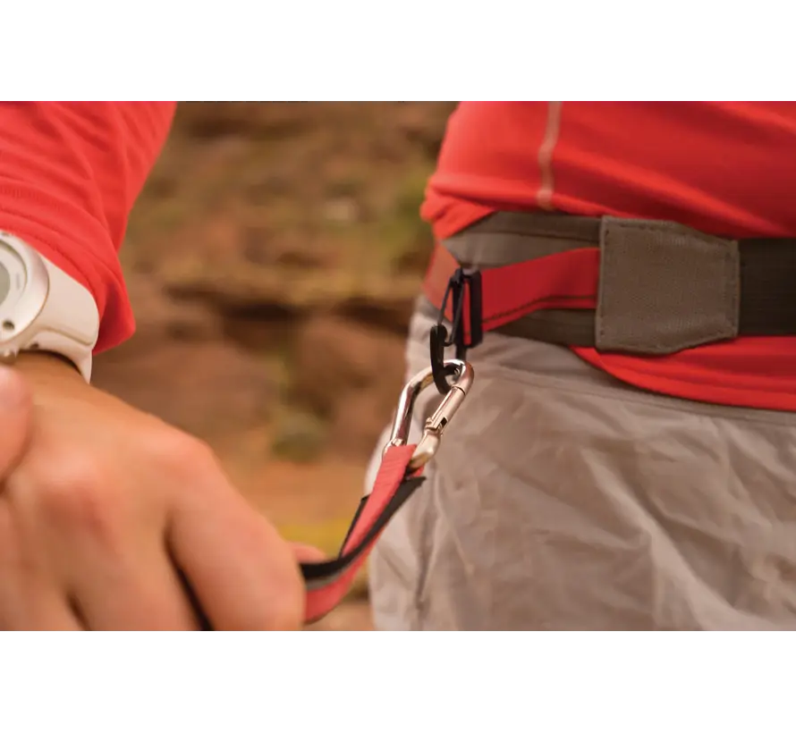 Excursion Running Belt