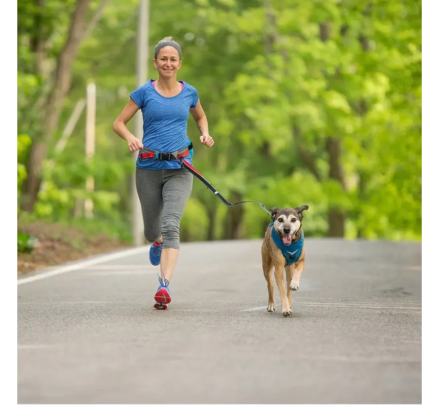 Excursion Running Belt