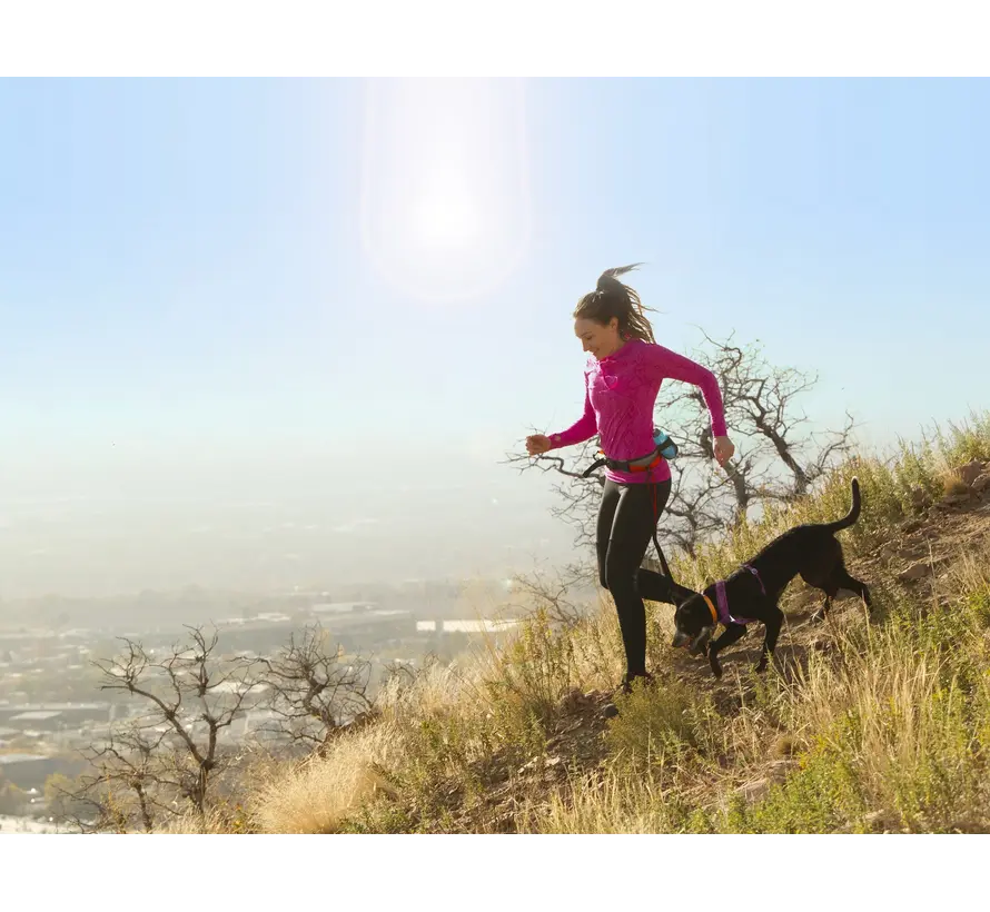 Excursion Running Belt