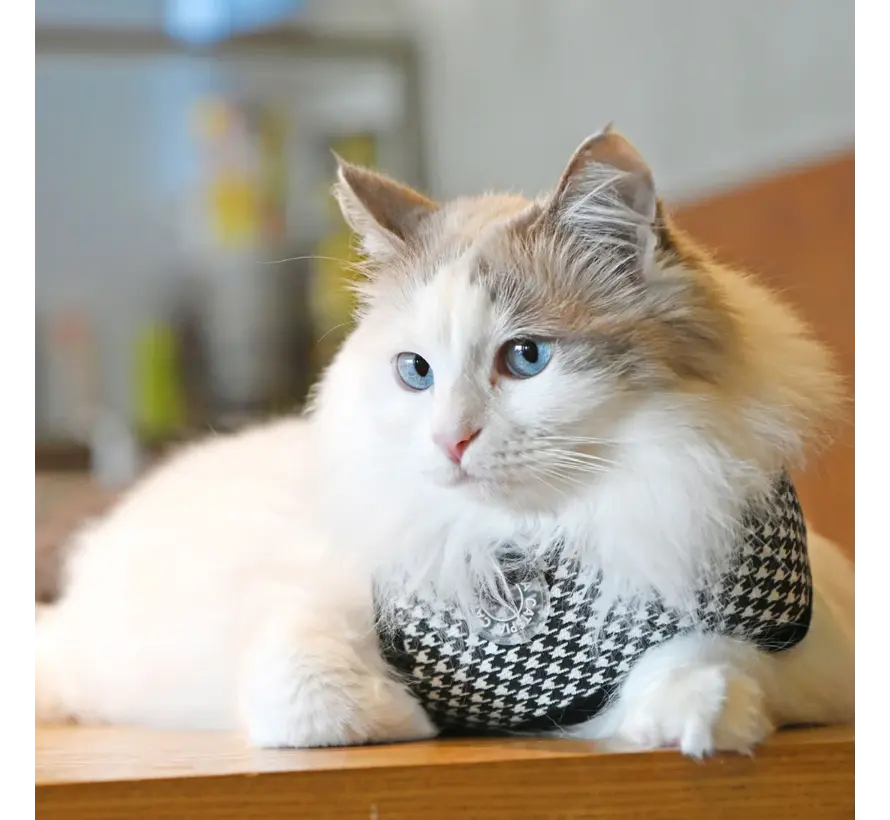Catspia Cat Harness: