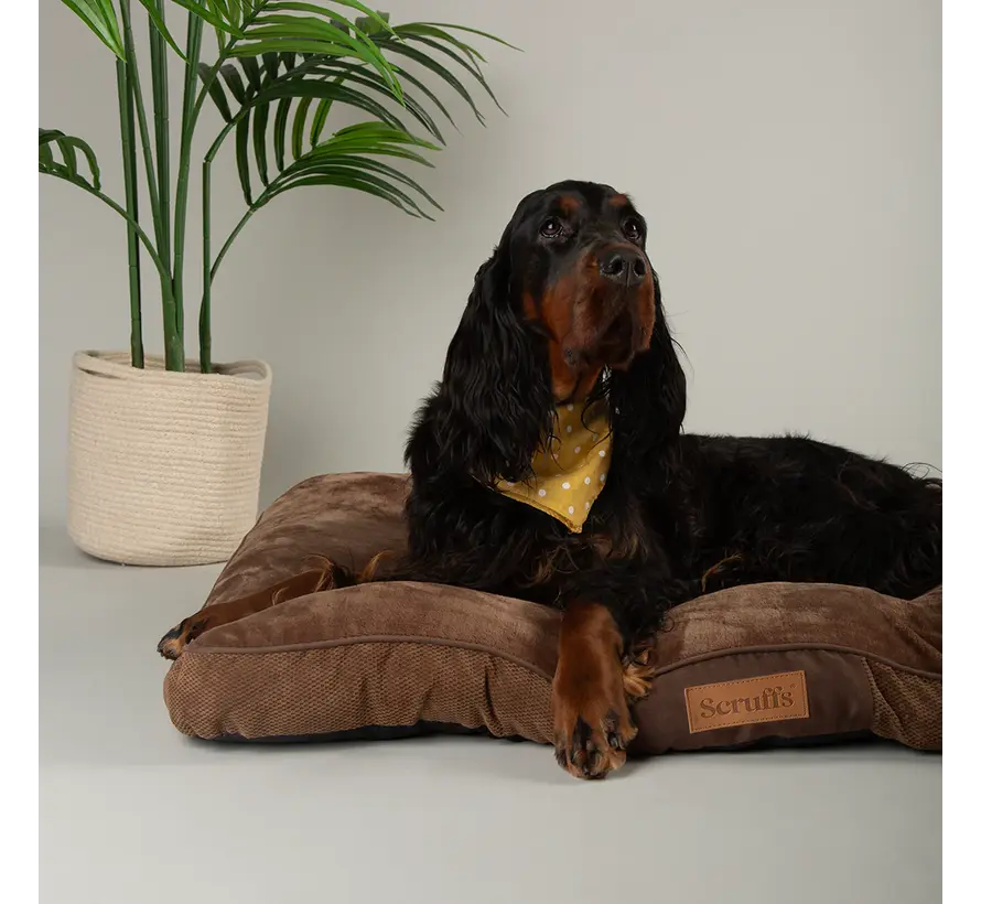 Dog Cushion Chester Chocolate