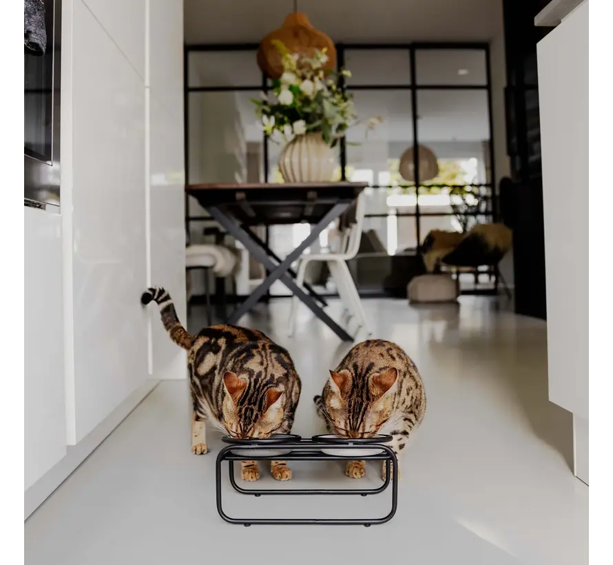 Voerbakstandaard Butler voor Katten