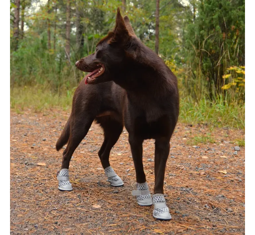 Zomer Hondenschoenen